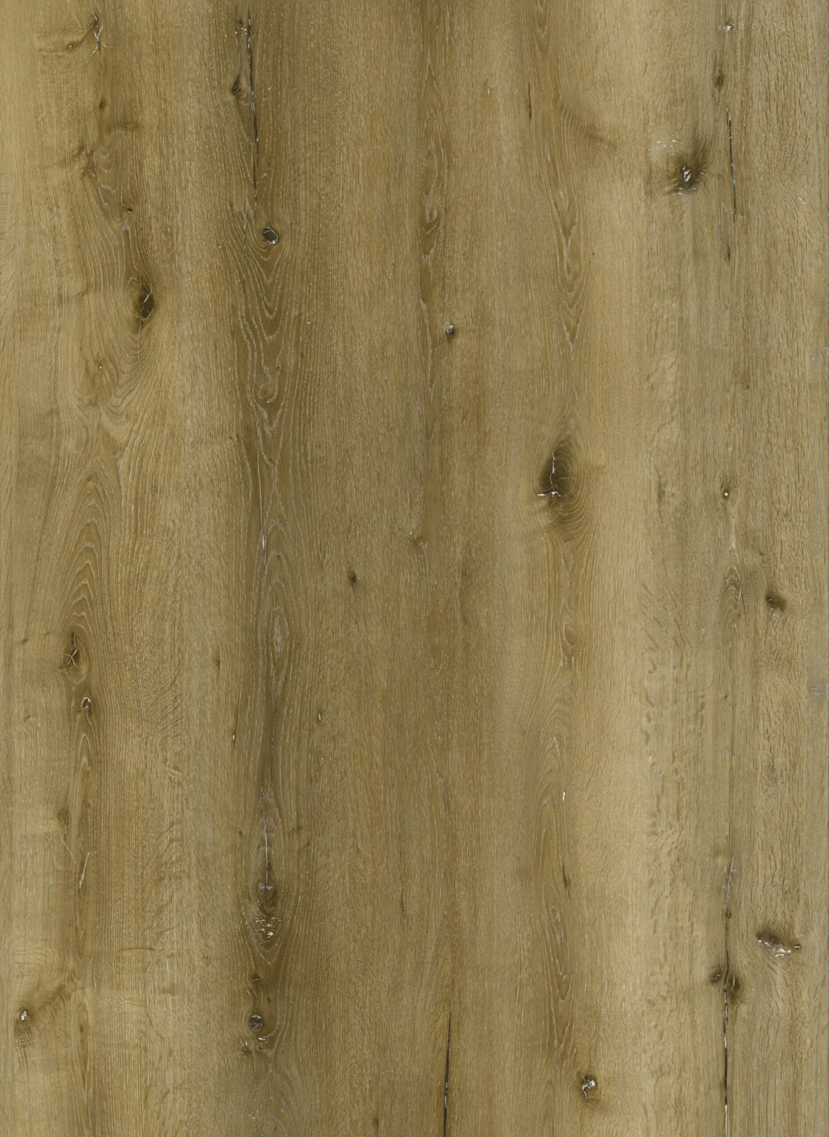 AR104 Natural Oak - Image 3