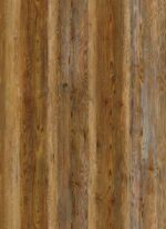 AR106 Golden Pine - Image 3