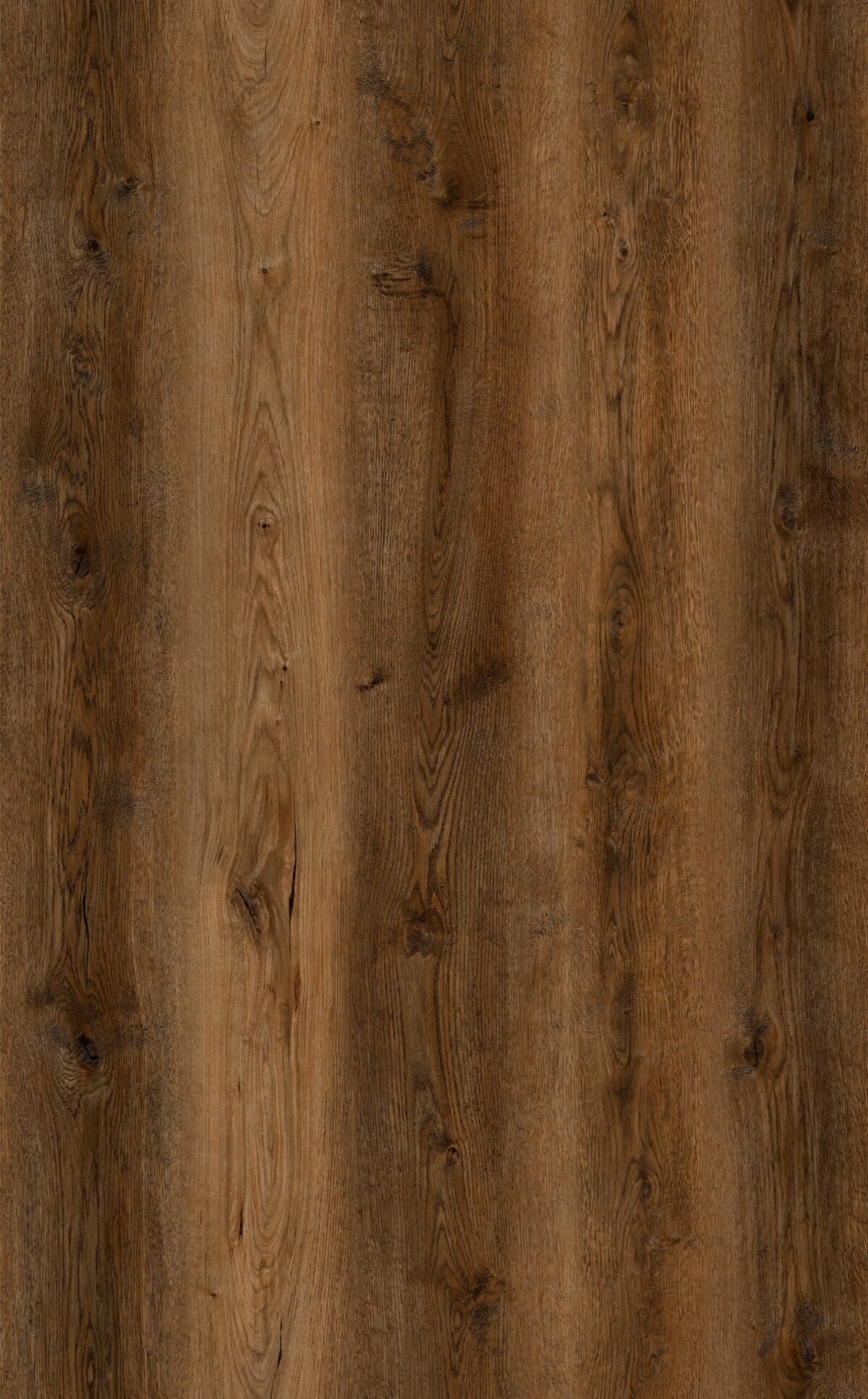AR108 Berkley Oak - Image 3