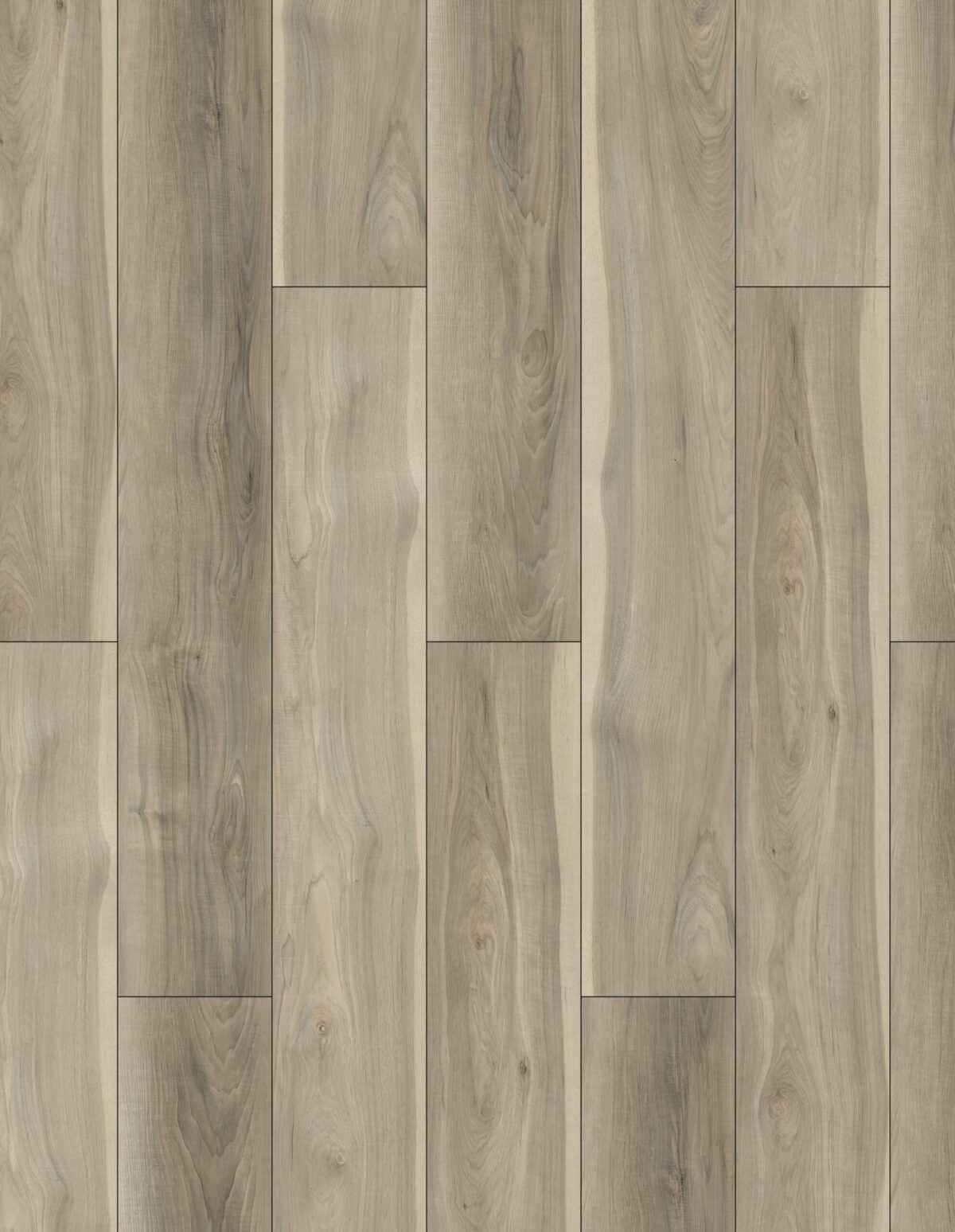 AR111 Sierra Sands - Image 1