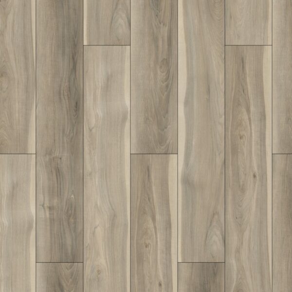 AR111 Sierra Sands