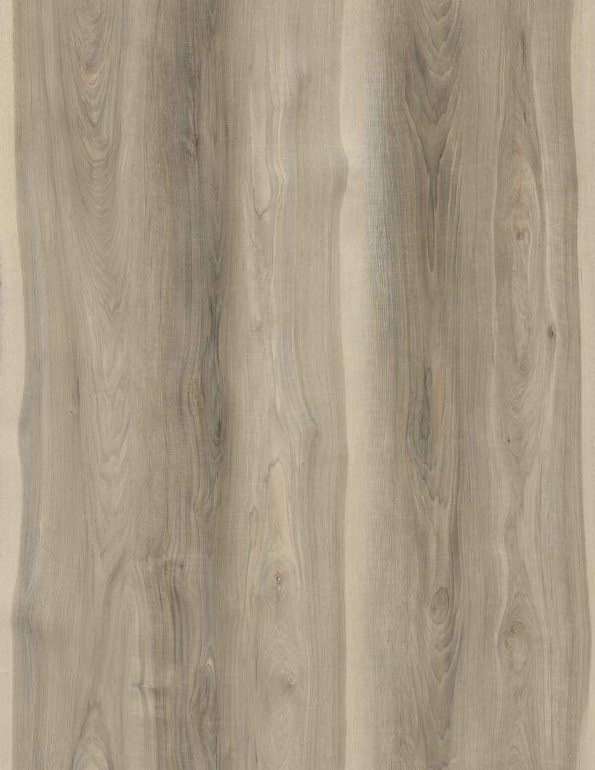 AR111 Sierra Sands - Image 3