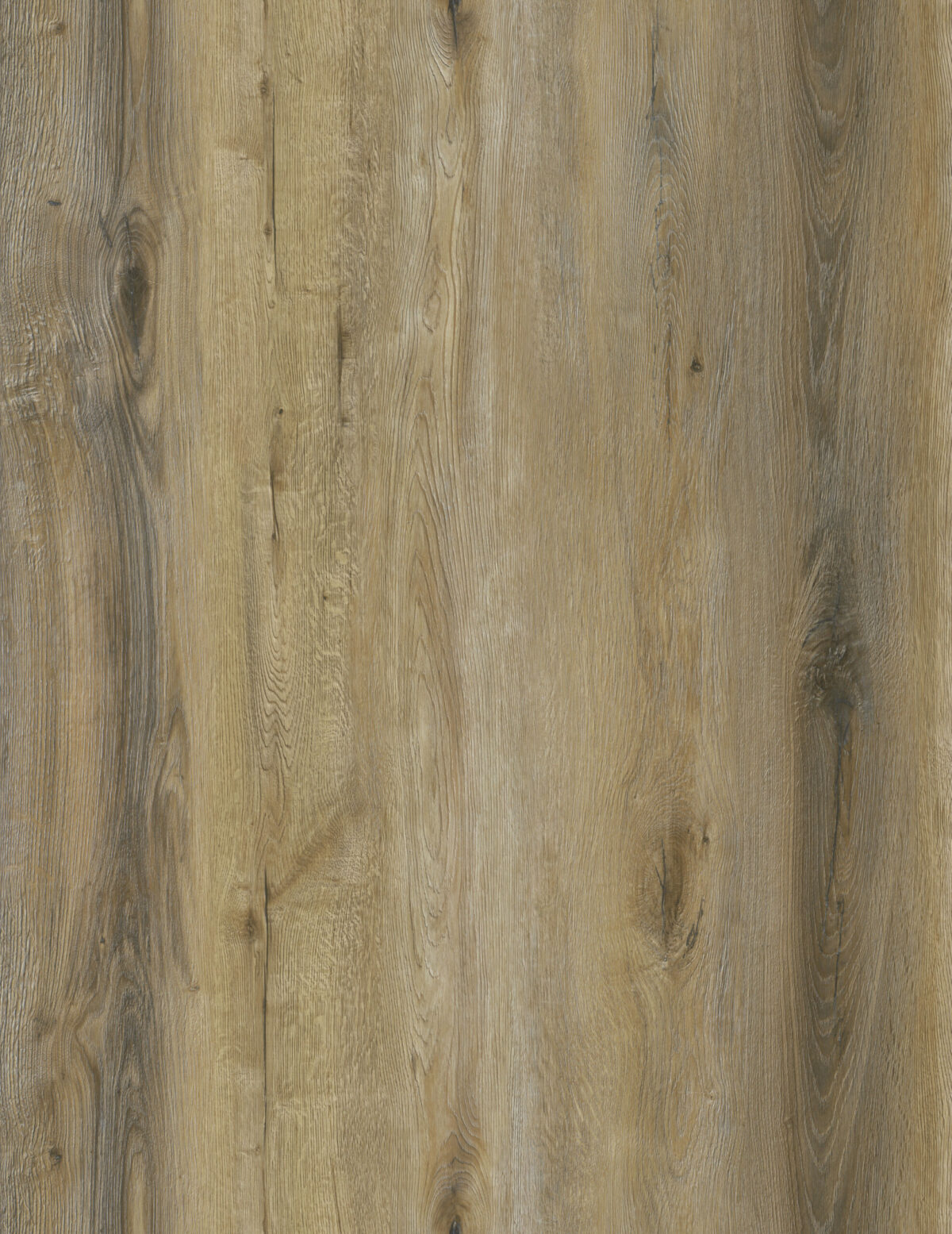 AR117 Vintage Hickory - Image 3