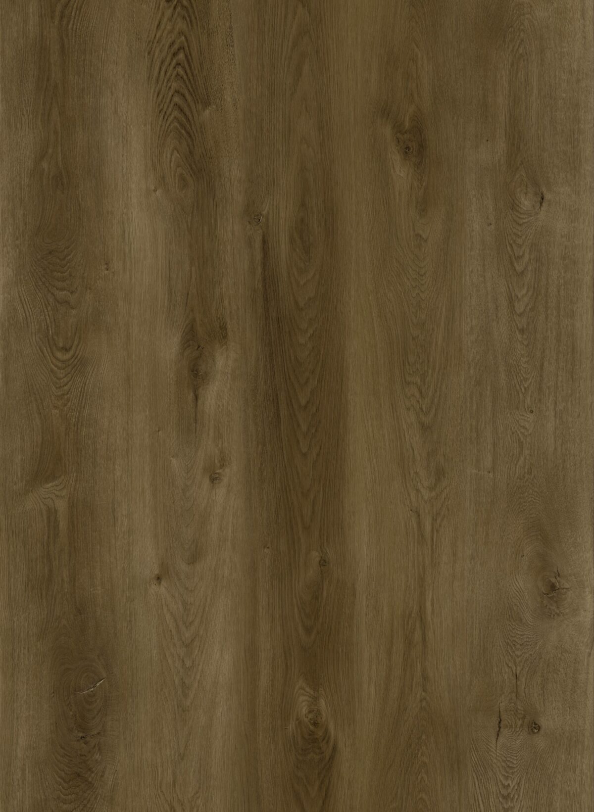 AR118 Mill Creek - Image 3