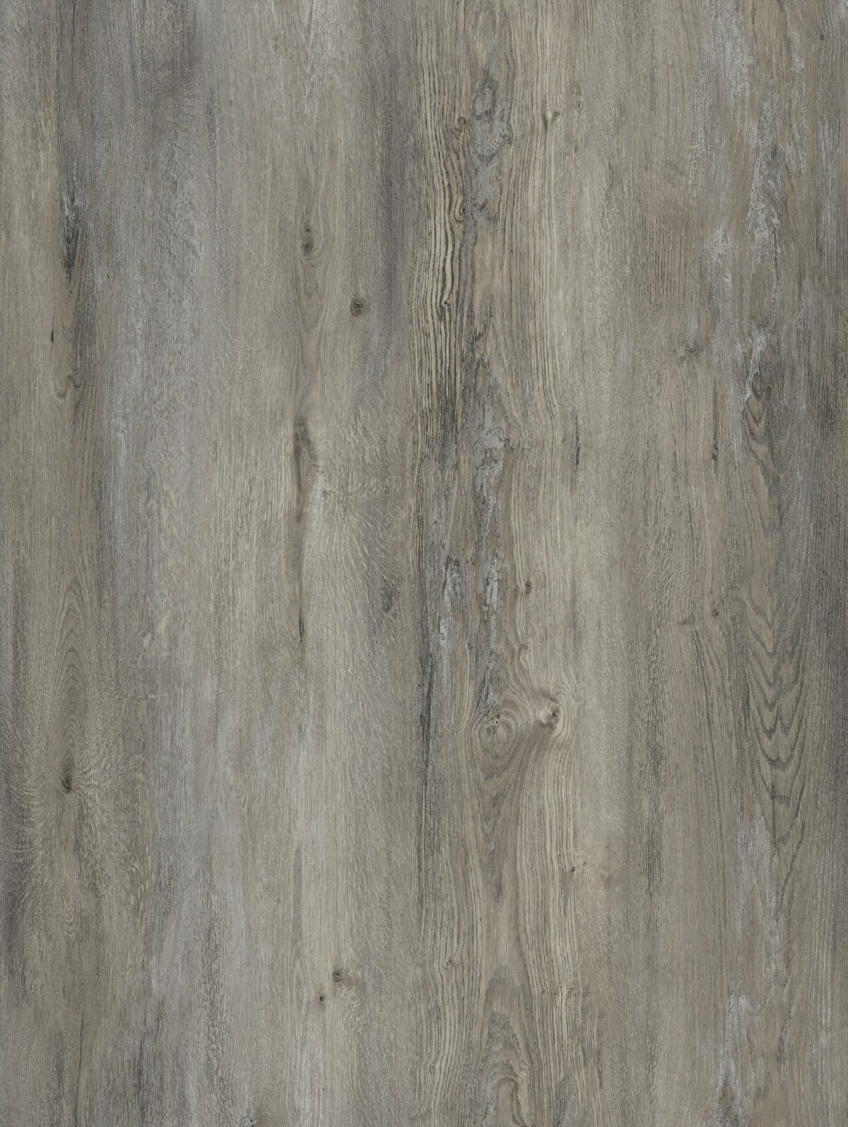 AR134 Placid cabin - Image 2