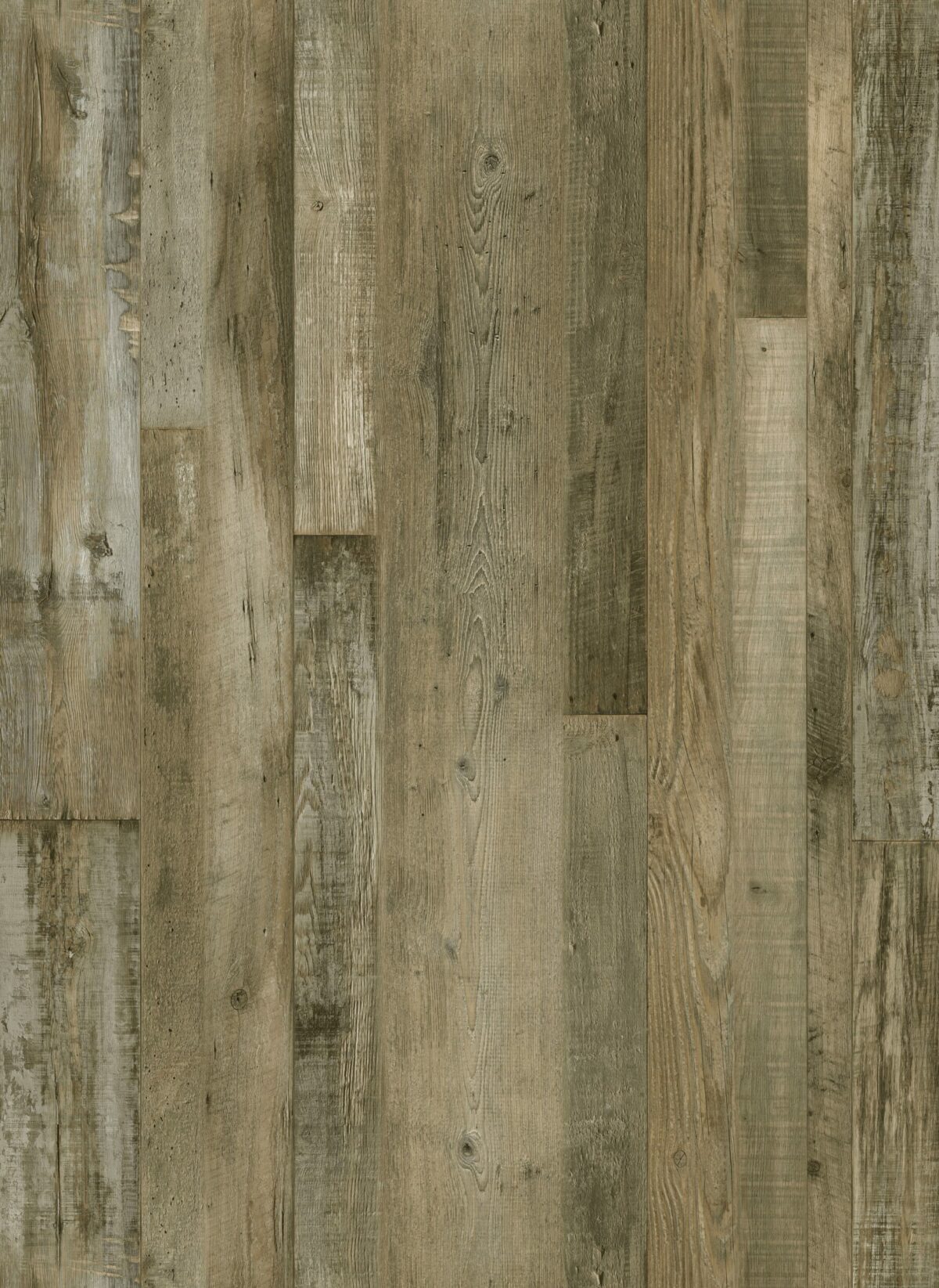 AR136 Everstill Forest - Image 1