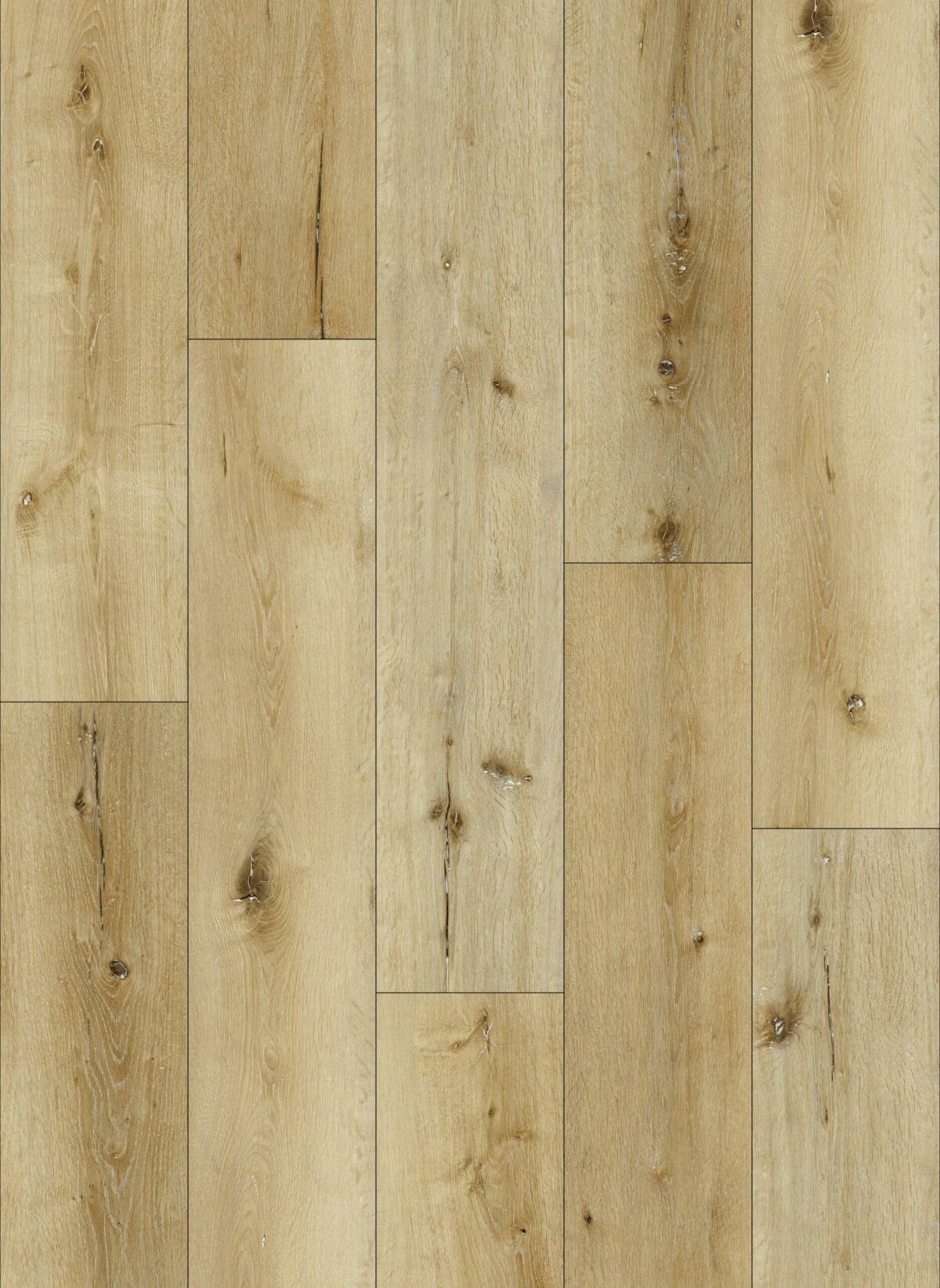 AR137 Cherry Point - Image 1