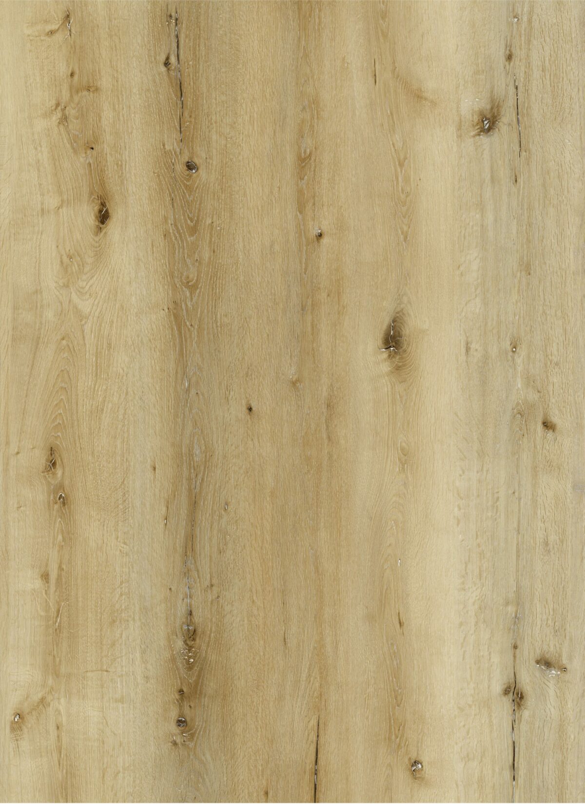AR137 Cherry Point - Image 2