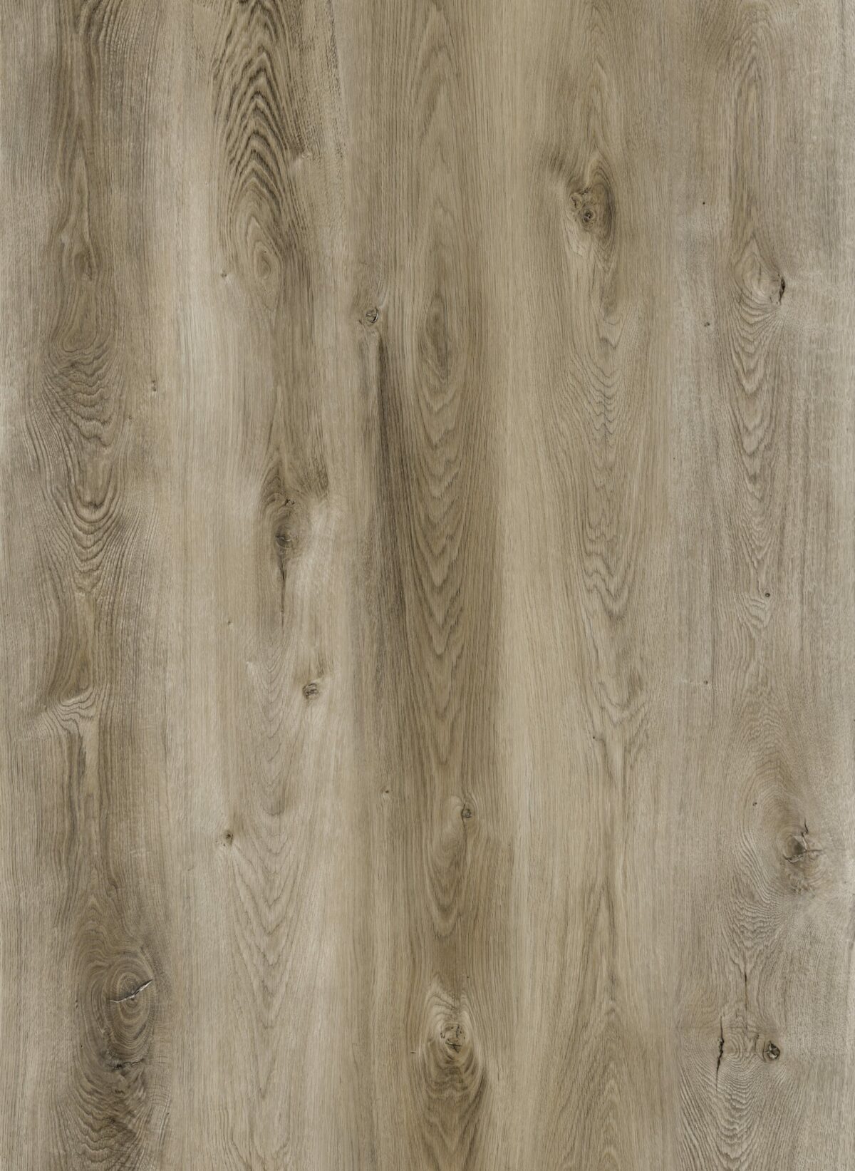AR140 Catalina Lite - Image 3