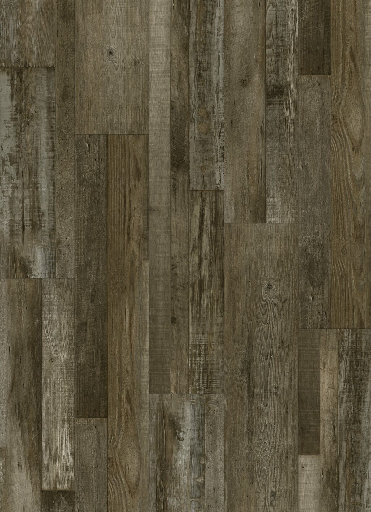 AR141 Petrified Forest - Image 1