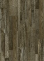AR141 Petrified Forest