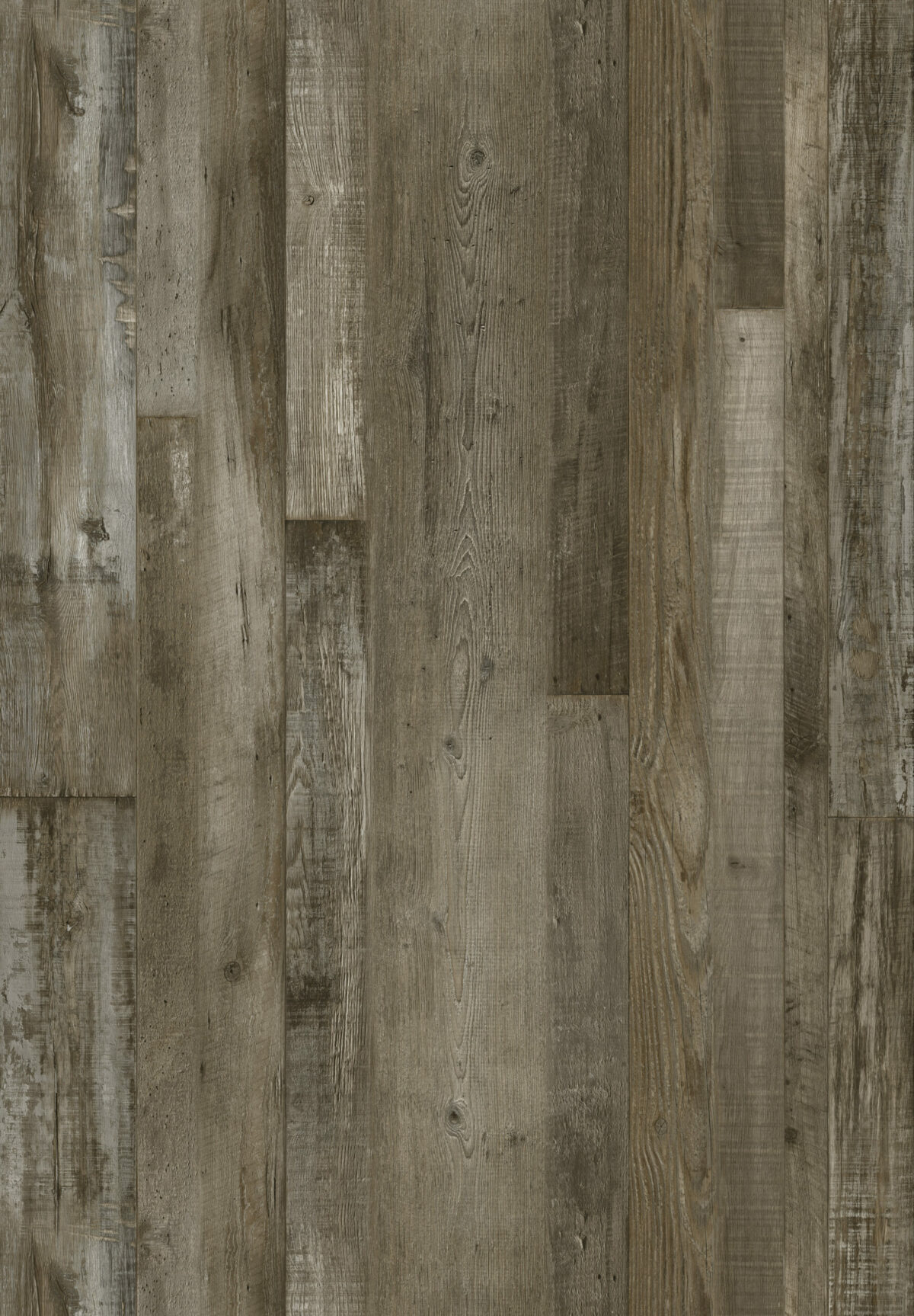 AR141 Petrified Forest - Image 2