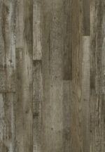 AR141 Petrified Forest - Image 2