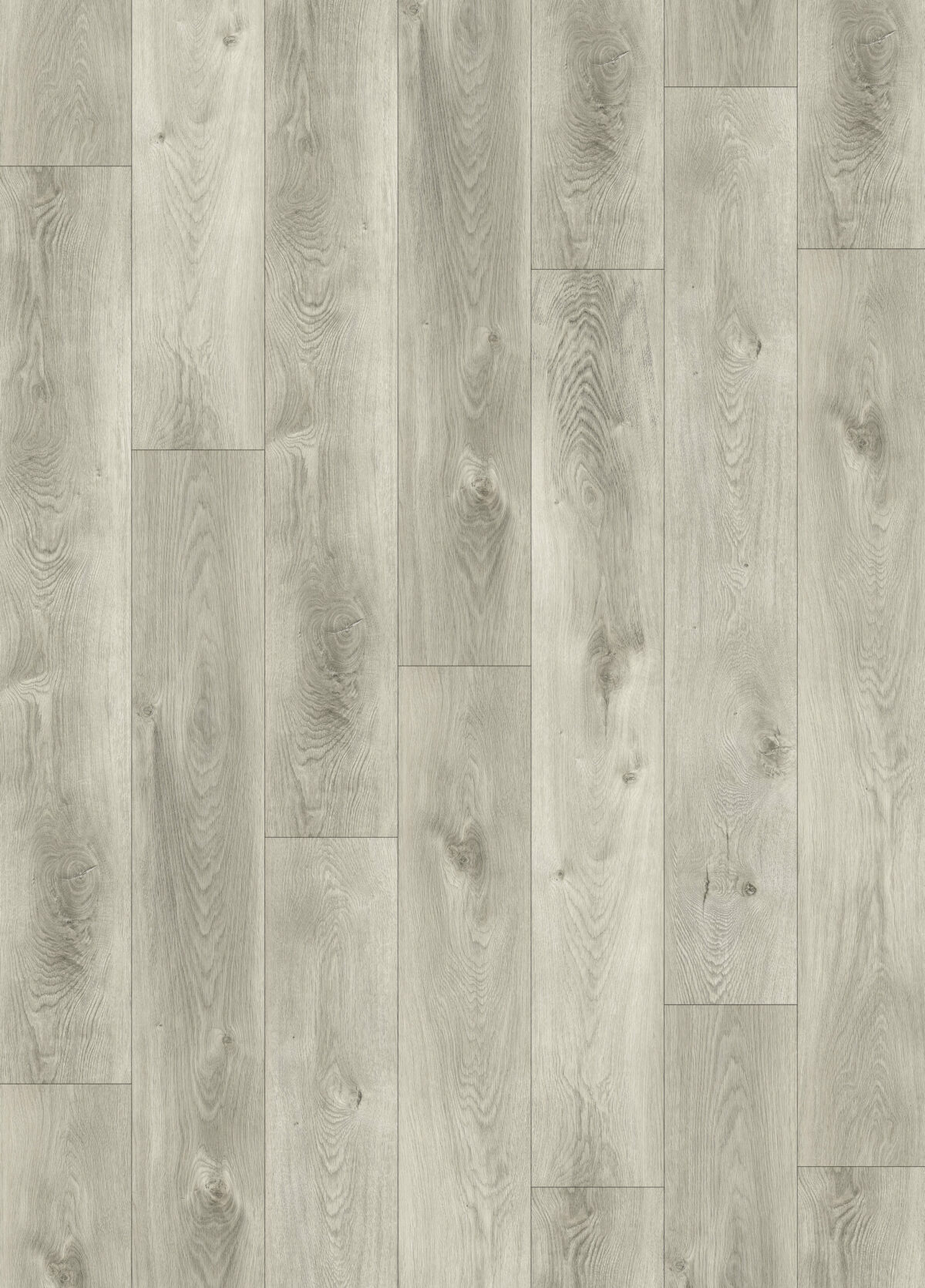 AR142 Lake Lanier - Image 1