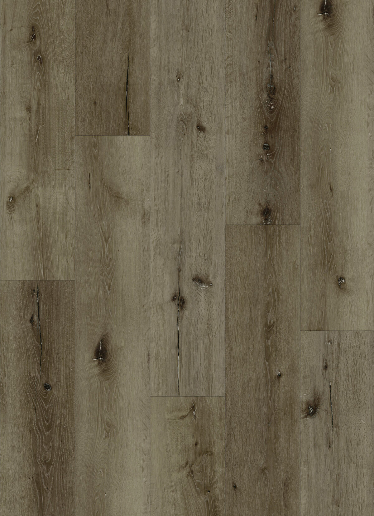 AR146 Oceanside Lite - Image 1