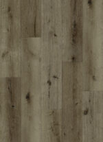 AR146 Oceanside Lite