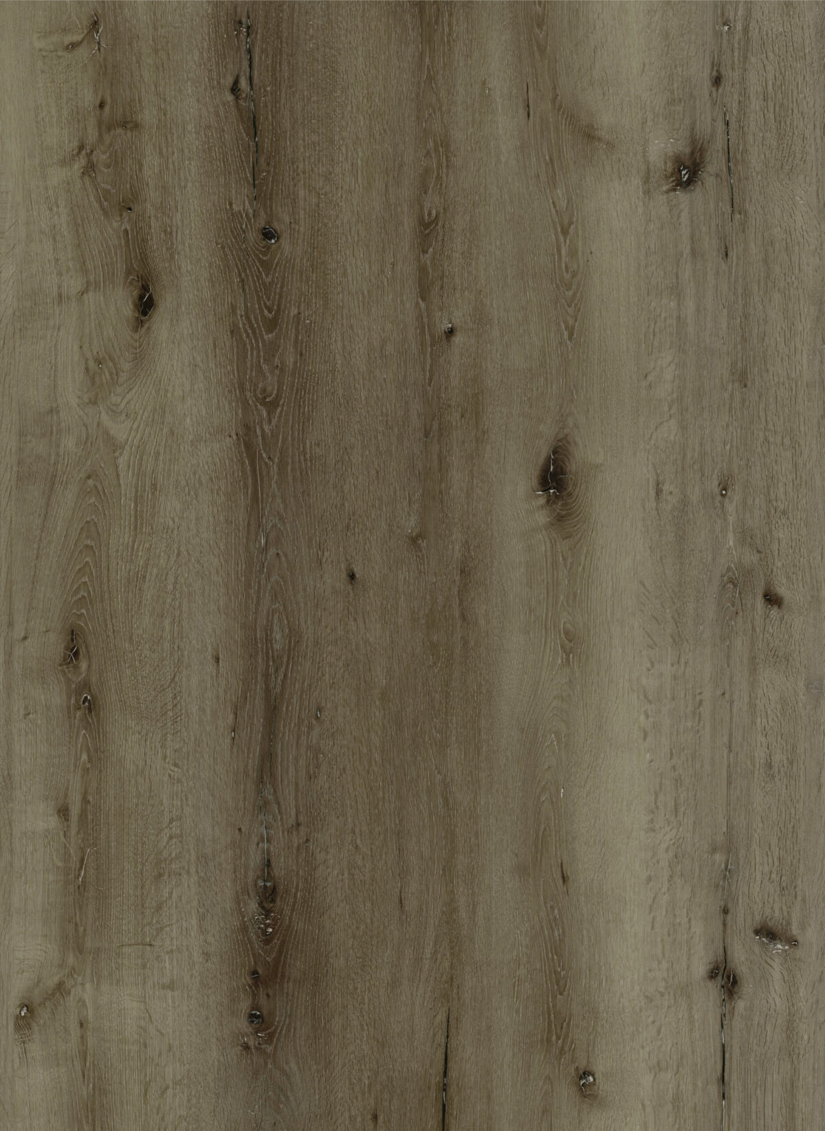 AR146 Oceanside Lite - Image 3