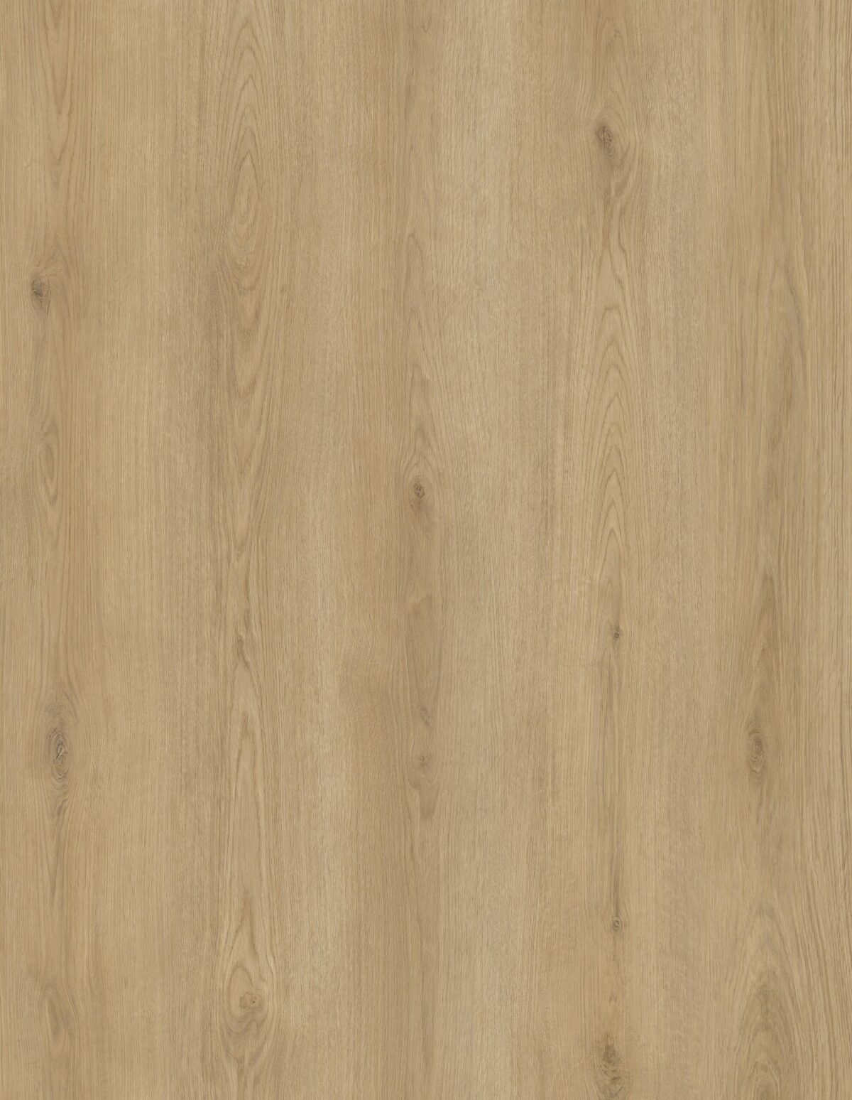 AR147 Sandy Plains - Image 3