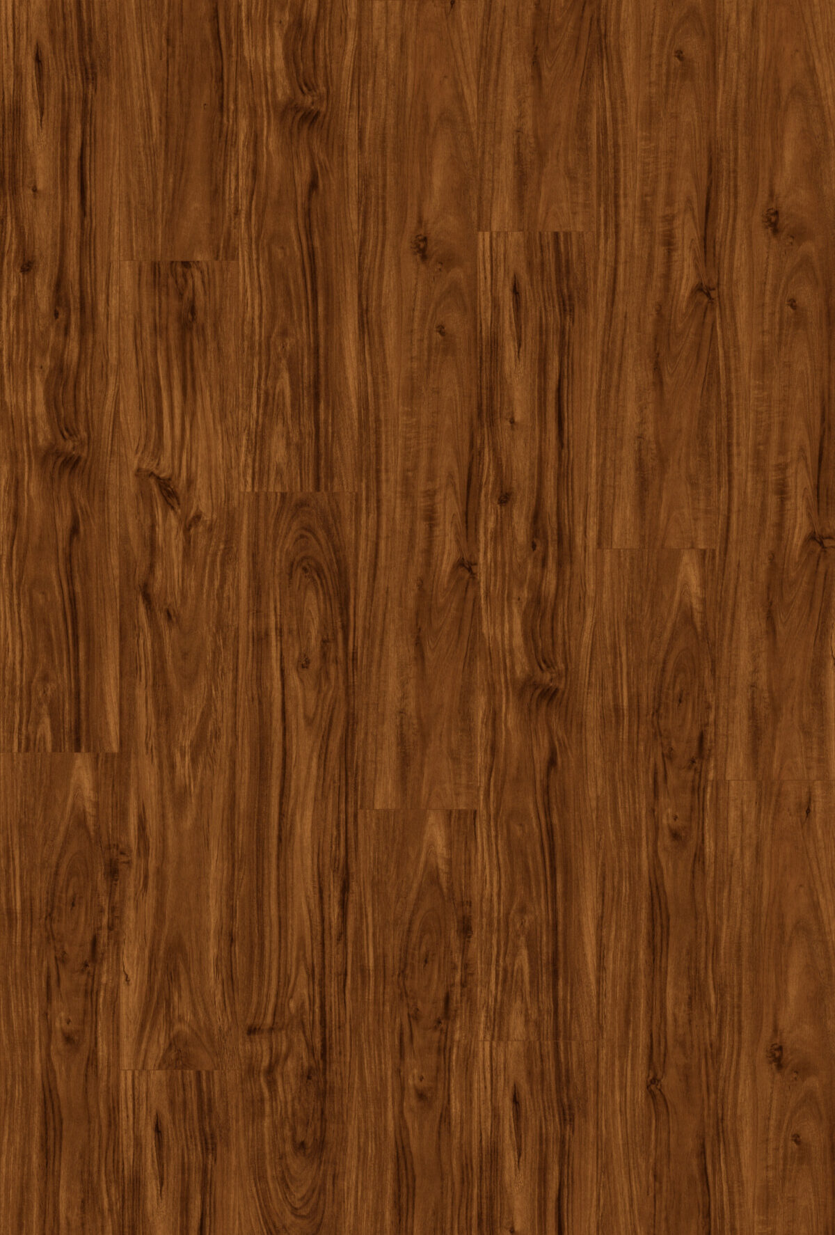 AR151 Redwood Forest - Image 1