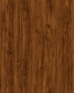 AR151 Redwood Forest - Image 3