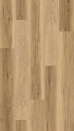 AR170 Carolina Hickory
