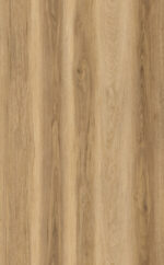 AR170 Carolina Hickory - Image 2