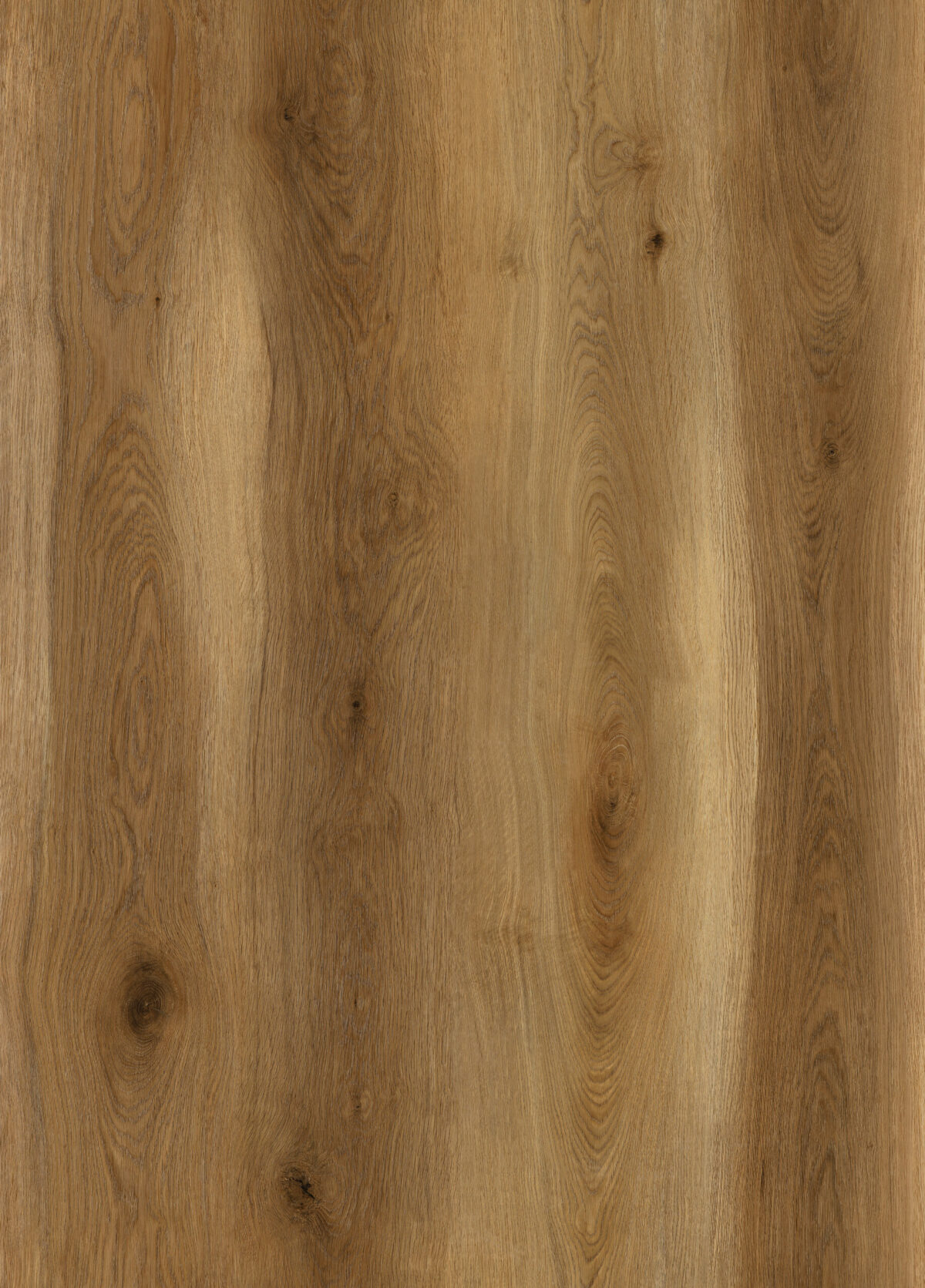 AR172 Stanford Oak - Image 2