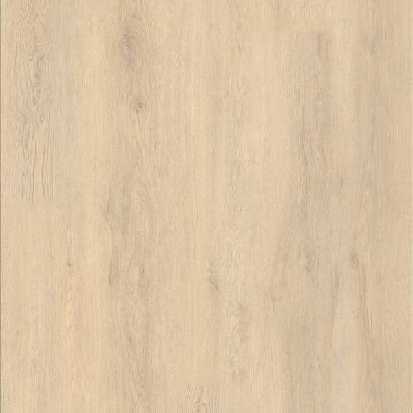 Barbados Oak