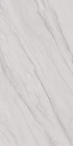 ANDES SILVER